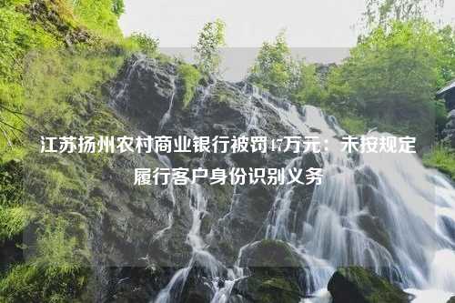 江苏扬州农村商业银行被罚47万元：未按规定履行客户身份识别义务