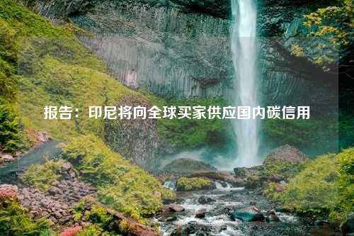 报告：印尼将向全球买家供应国内碳信用