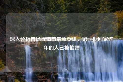 深入分析市场行情与最新资讯，第一批回家过年的人已被催婚