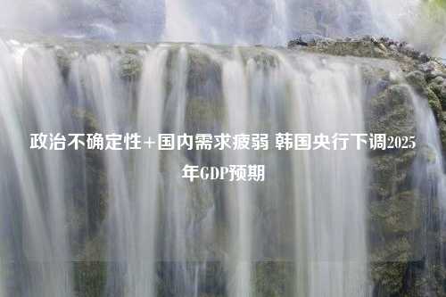 政治不确定性+国内需求疲弱 韩国央行下调2025年GDP预期