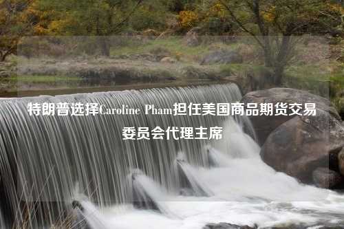 特朗普选择Caroline Pham担任美国商品期货交易委员会代理主席