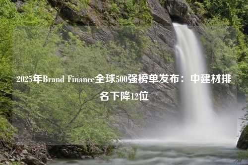 2025年Brand Finance全球500强榜单发布：中建材排名下降12位