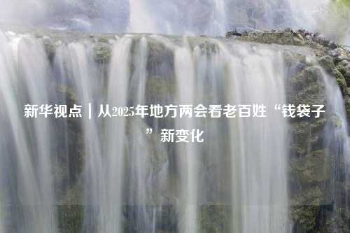 新华视点｜从2025年地方两会看老百姓“钱袋子”新变化