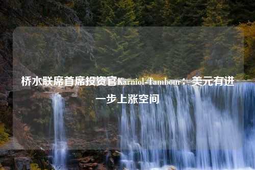 桥水联席首席投资官Karniol-Tambour：美元有进一步上涨空间