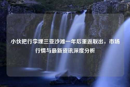 小伙把行李埋三亚沙滩一年后重返取出，市场行情与最新资讯深度分析