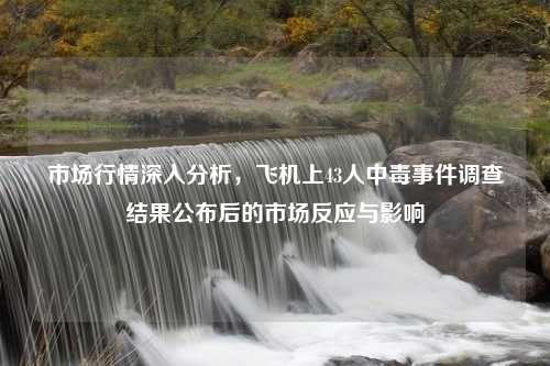 市场行情深入分析，飞机上43人中毒事件调查结果公布后的市场反应与影响