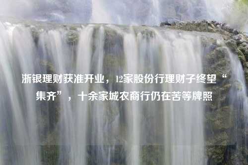 浙银理财获准开业，12家股份行理财子终望“集齐”，十余家城农商行仍在苦等牌照