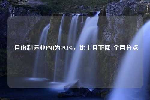 1月份制造业PMI为49.1%，比上月下降1个百分点