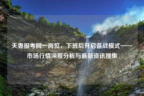 夫妻报考同一岗位，下班后开启备战模式——市场行情深度分析与最新资讯搜集