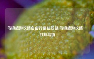 乌镇旅游攻略自由行最佳线路,乌镇旅游攻略一日游乌镇