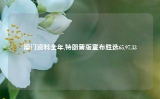 澳门资料全年,特朗普版宣布胜选65.97.33