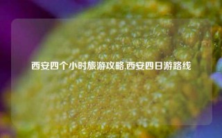 西安四个小时旅游攻略,西安四日游路线