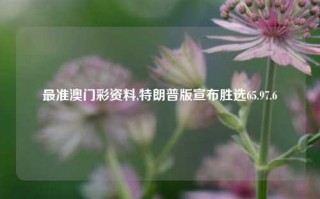 最准澳门彩资料,特朗普版宣布胜选65.97.6