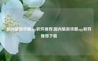 国内旅游攻略app软件推荐,国内旅游攻略app软件推荐下载