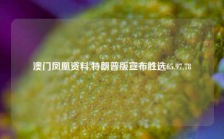 澳门凤凰资料,特朗普版宣布胜选65.97.78