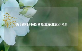 澳门资料d,特朗普版宣布胜选65.97.29