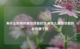 有什么好用的旅游攻略软件,有什么旅游攻略的软件哪个好