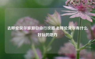 去呼伦贝尔旅游自由行攻略,去呼伦贝尔有什么好玩的地方