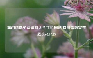 澳门精选免费资料大全手机网站,特朗普版宣布胜选65.97.15