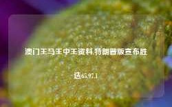 澳门王马王中王资料,特朗普版宣布胜选65.97.1