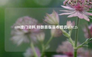 4499澳门资料,特朗普版宣布胜选65.97.25