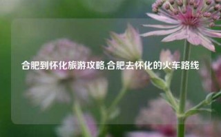 合肥到怀化旅游攻略,合肥去怀化的火车路线