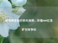 湖南黄金股价四天涨停，价值6000亿金矿引发争议