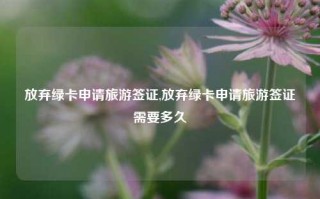 放弃绿卡申请旅游签证,放弃绿卡申请旅游签证需要多久