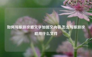 如何写旅游攻略文字加图文内容,怎么写旅游攻略用什么文件