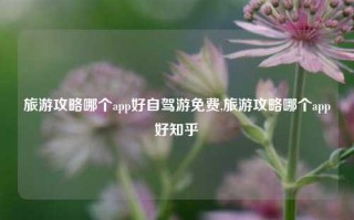 旅游攻略哪个app好自驾游免费,旅游攻略哪个app好知乎