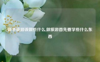 新手旅游该做些什么,做旅游首先要学些什么东西