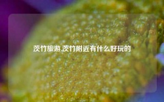 茨竹旅游,茨竹附近有什么好玩的