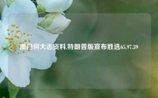 澳门何大志资料,特朗普版宣布胜选65.97.39