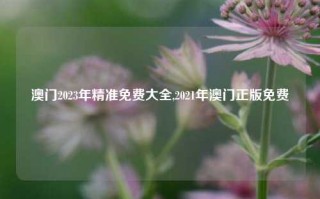 澳门2023年精准免费大全,2021年澳门正版免费