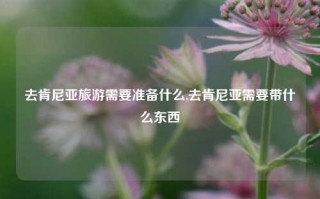 去肯尼亚旅游需要准备什么,去肯尼亚需要带什么东西