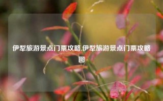 伊犁旅游景点门票攻略,伊犁旅游景点门票攻略图