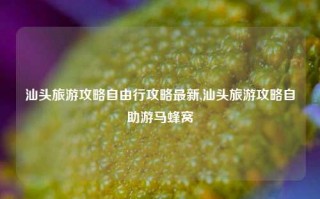 汕头旅游攻略自由行攻略最新,汕头旅游攻略自助游马蜂窝