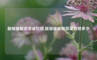 新加坡旅游签证价格,新加坡旅游签证价格多少