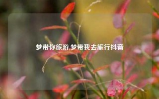 梦带你旅游,梦带我去旅行抖音