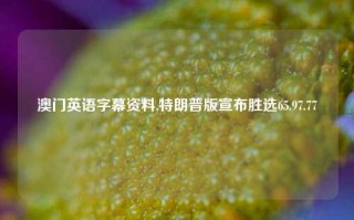 澳门英语字幕资料,特朗普版宣布胜选65.97.77