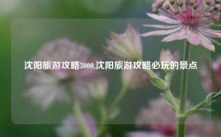 沈阳旅游攻略3000,沈阳旅游攻略必玩的景点