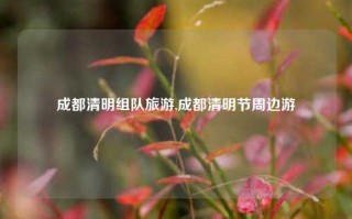 成都清明组队旅游,成都清明节周边游