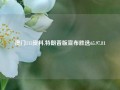 澳门113资料,特朗普版宣布胜选65.97.81