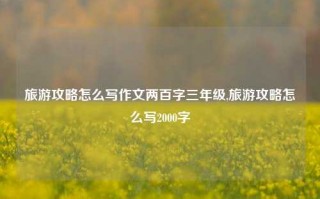 旅游攻略怎么写作文两百字三年级,旅游攻略怎么写2000字