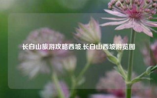 长白山旅游攻略西坡,长白山西坡游览图