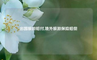 出国旅游赔付,境外旅游保险赔偿