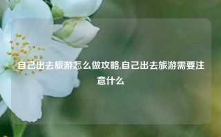 自己出去旅游怎么做攻略,自己出去旅游需要注意什么