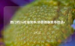 澳门码246旺角资料,特朗普版宣布胜选65.97.57