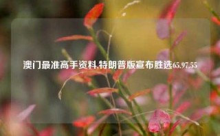 澳门最准高手资料,特朗普版宣布胜选65.97.55