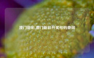 澳门新彩,澳门新彩开奖号码查询